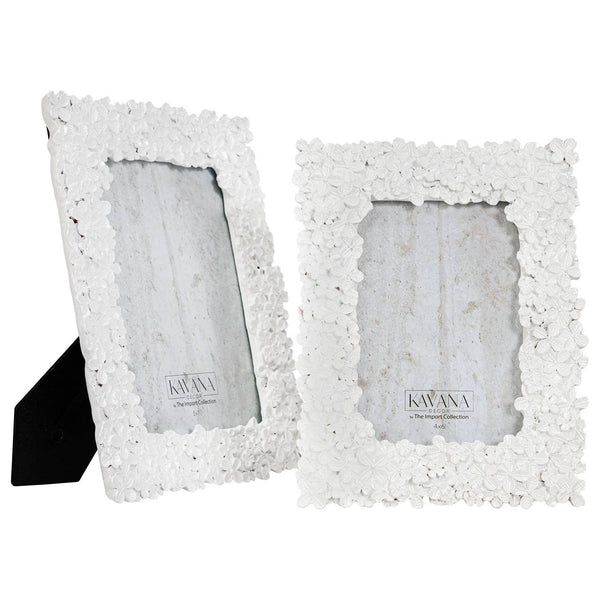 Resin Frames -Set 2