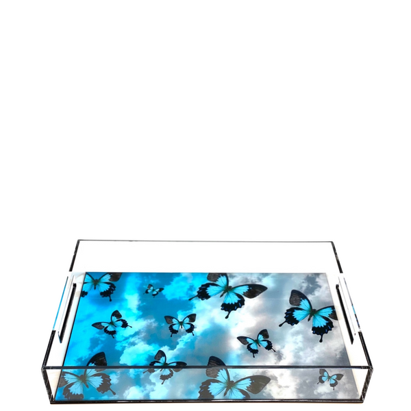 Acrylic Tray Butterflies Tray